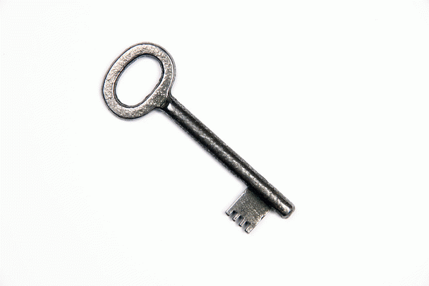 19 دلیل اسهال خونی در سگ ها