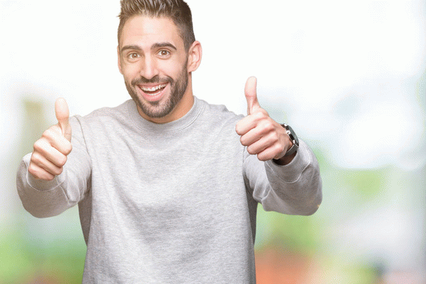 14 نکته آشنایی کامل با غذای سگ چاو چاو، از توله تا بالغ